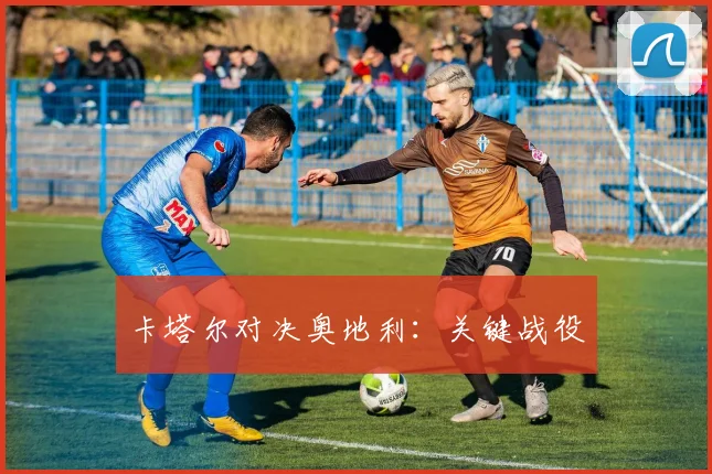 卡塔尔对决奥地利：关键战役