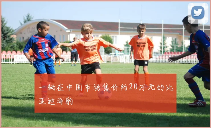 一辆在中国市场售价约20万元的比亚迪海豹