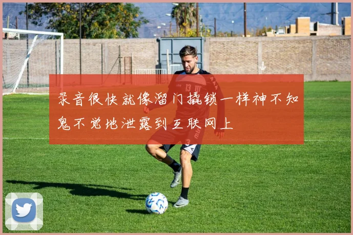 录音很快就像溜门撬锁一样神不知鬼不觉地泄露到互联网上