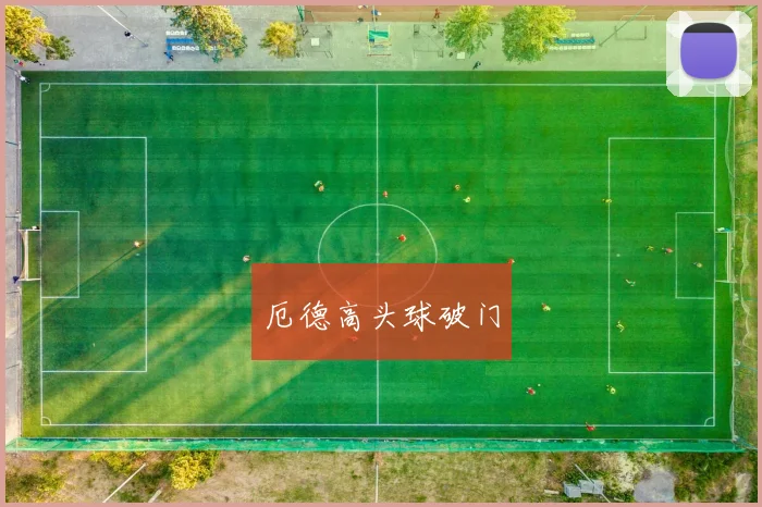 厄德高头球破门