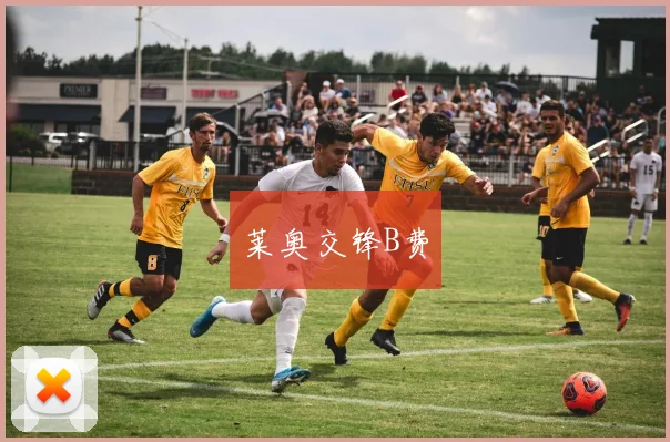 莱奥交锋B费