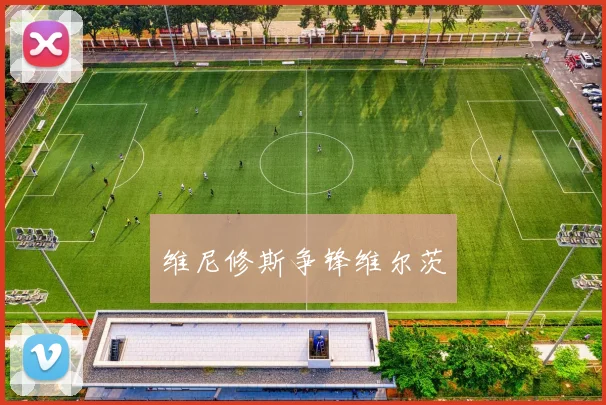 维尼修斯争锋维尔茨
