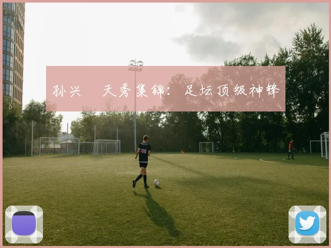 孙兴慜天秀集锦：足坛顶级神锋