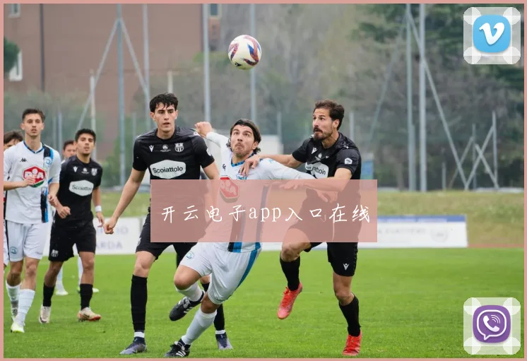 开云电子app入口在线
