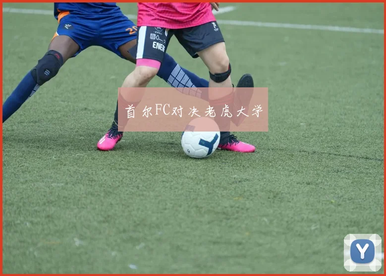 首尔FC对决老虎大学