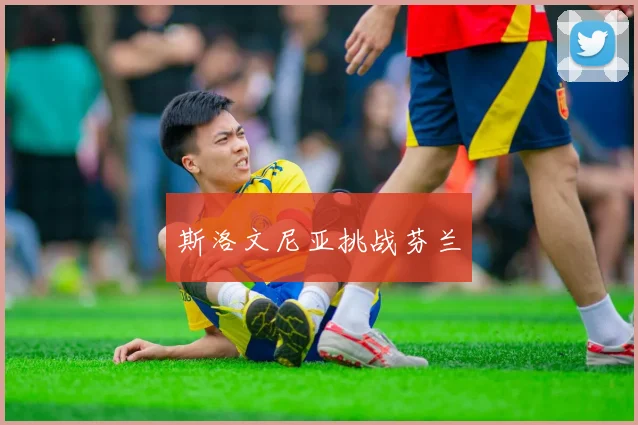 斯洛文尼亚挑战芬兰