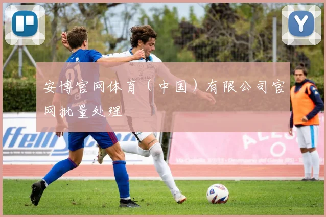 安博官网体育（中国）有限公司官网批量处理