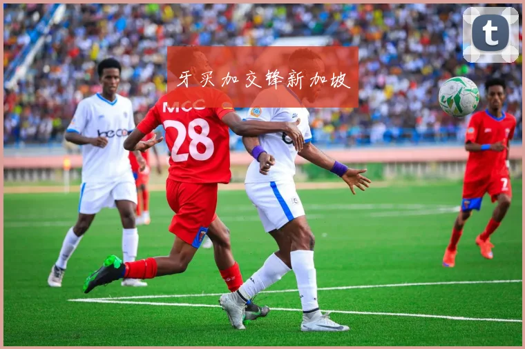 牙买加交锋新加坡