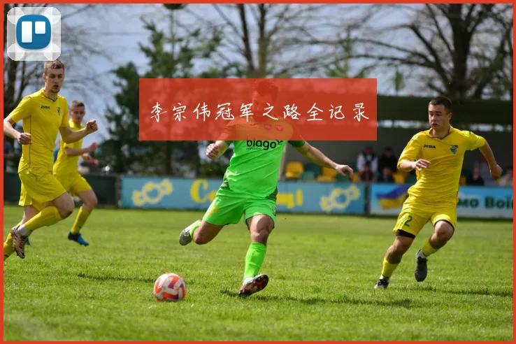 李宗伟冠军之路全记录