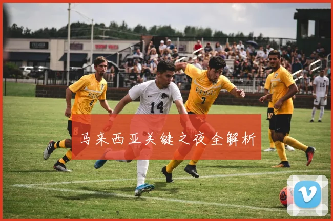马来西亚关键之夜全解析