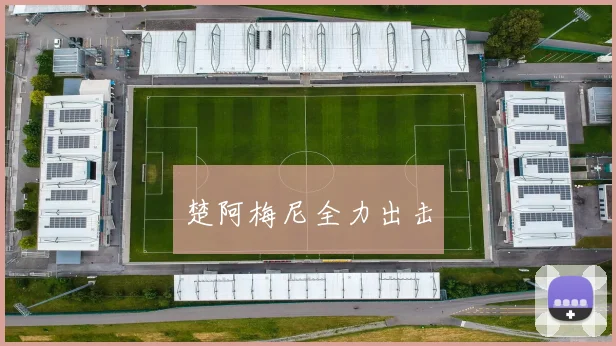 楚阿梅尼全力出击