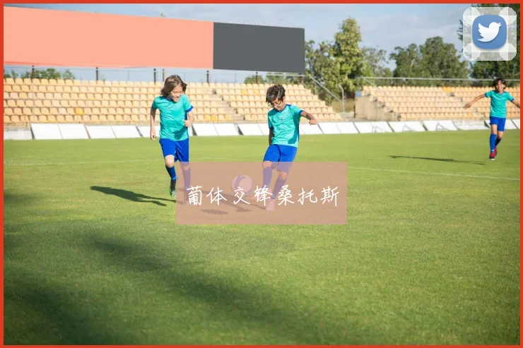 葡体交锋桑托斯