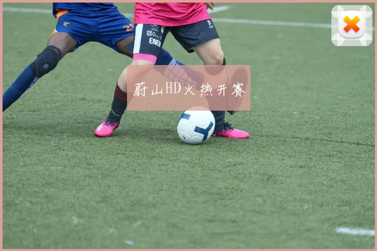 蔚山HD火热开赛