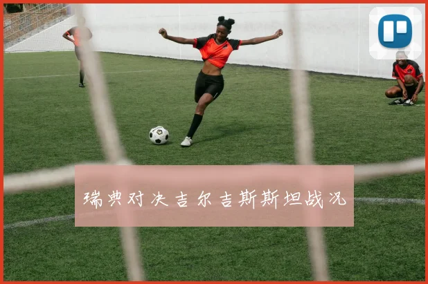 瑞典对决吉尔吉斯斯坦战况