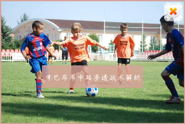 津巴布韦中路渗透战术解析