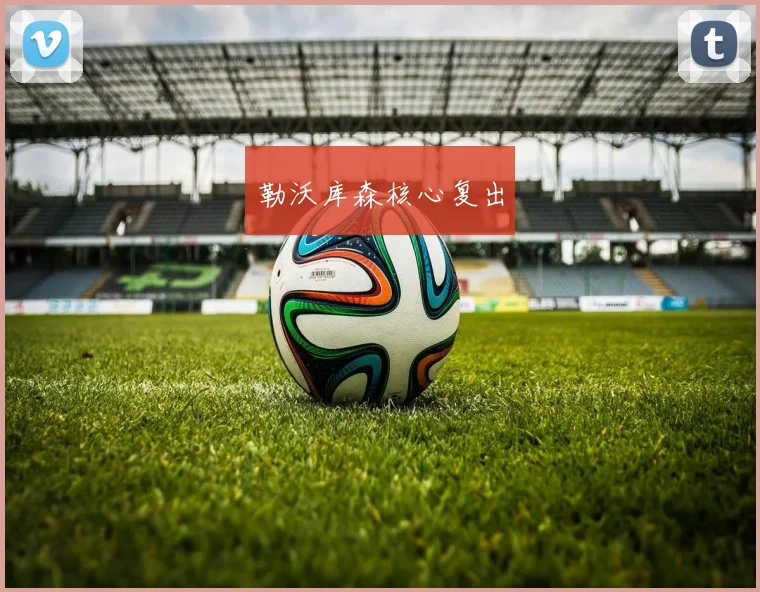 勒沃库森核心复出