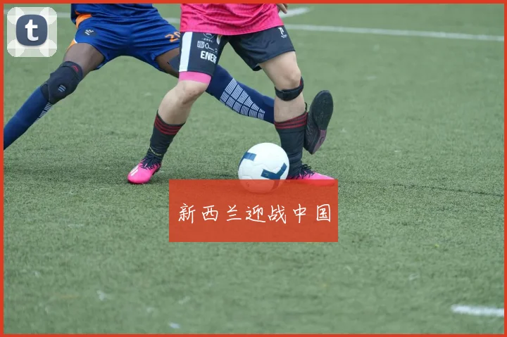 新西兰迎战中国