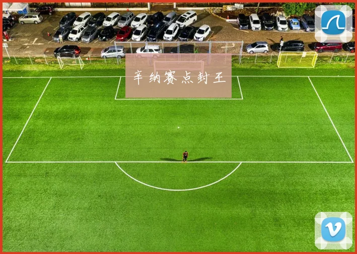 辛纳赛点封王