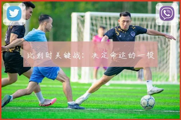 比利时关键战：决定命运的一役