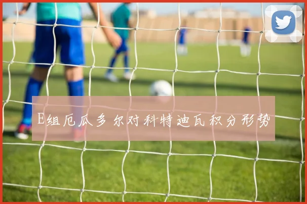 E组厄瓜多尔对科特迪瓦积分形势